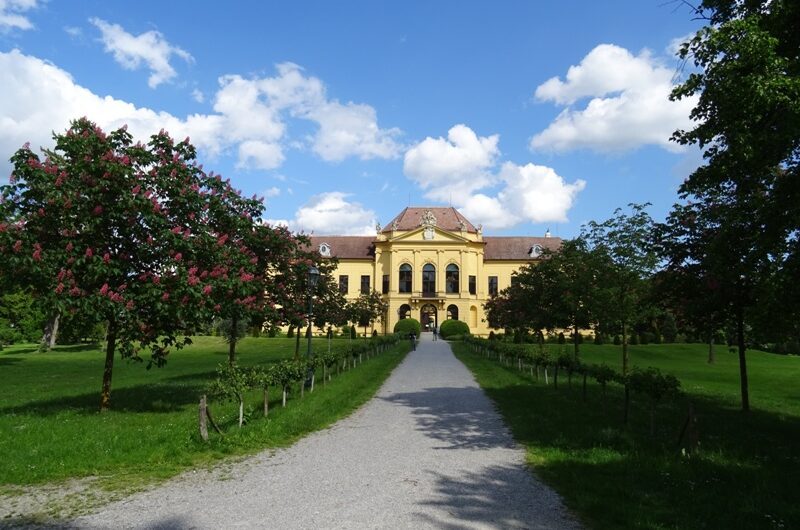 Allee vor Schloss Eckartsau