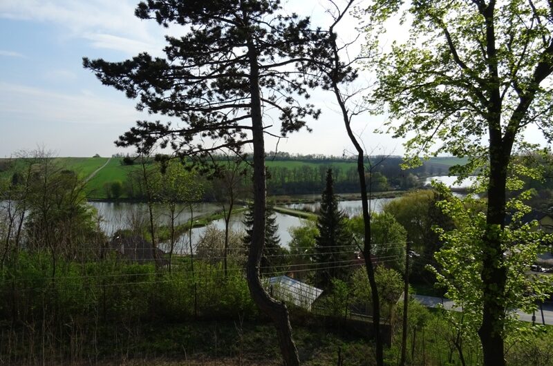 Nexinger Teichlandschaft