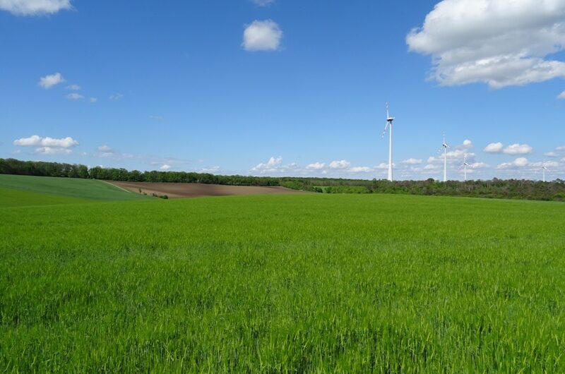 Felder am Matznerwald