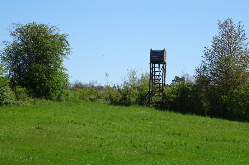 Hochsitze bei Wolkersdorf