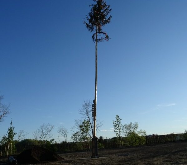 Maibaum Ulrichskirchen