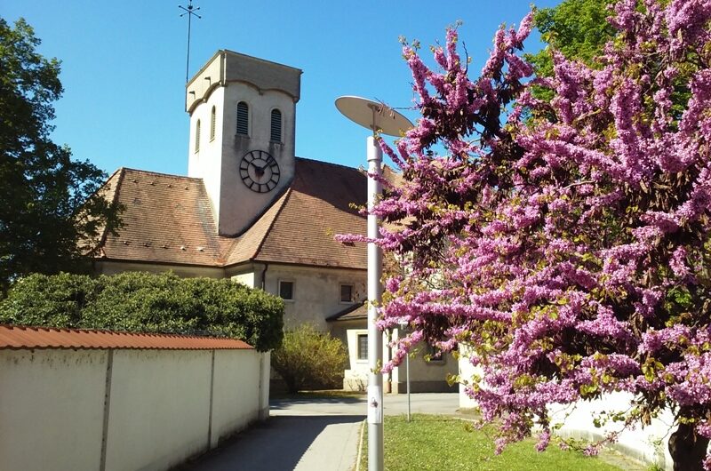 Maiblüte vor dem Pfarrsaal