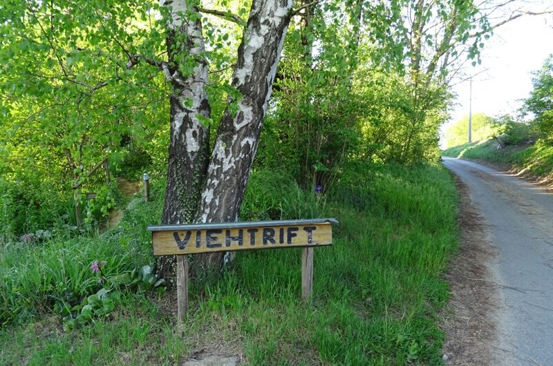 Viehtrift