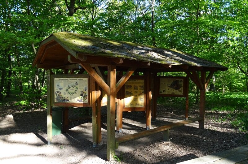 Waldlehrpfad Infotafeln am Glockenberg