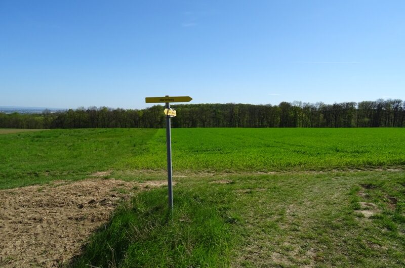 Wegweiser am Marterlweg