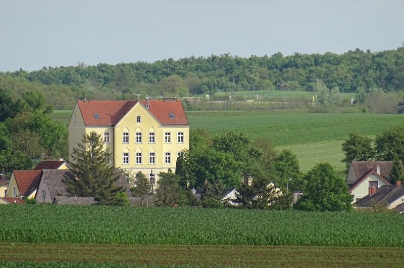 Großes Haus in Kronberg