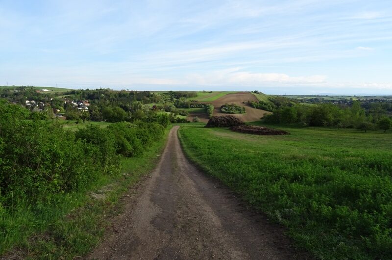 Von Kronberg nach Riedenthal