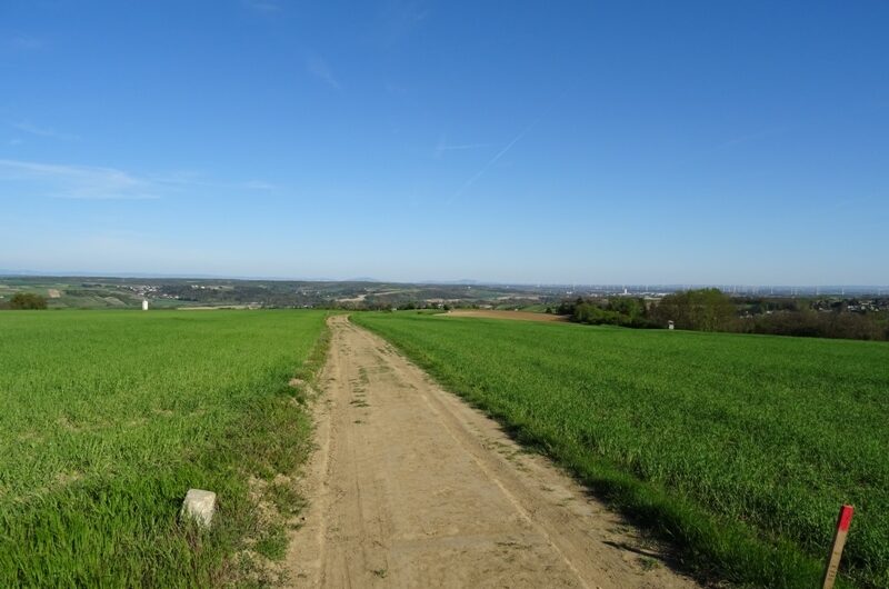 Über die Felder nach Schleinbach