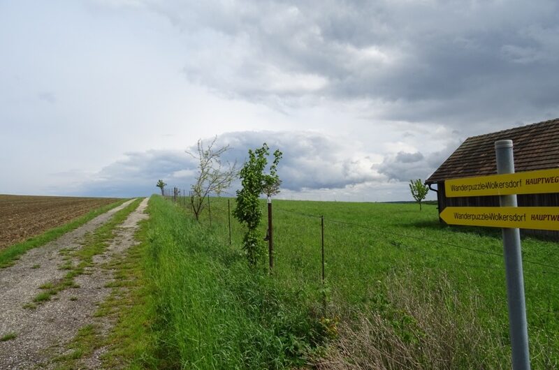 Am Waldberg bei Niederkreuzstetten