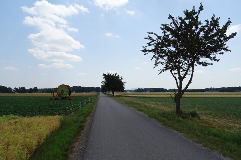 Von Oberweiden nach Marchegg