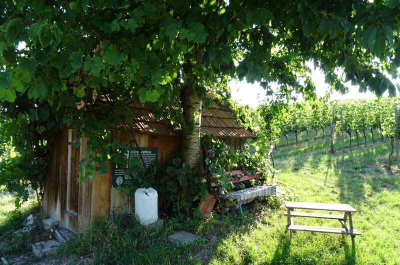 Leberwursthütte beim Klapotetz