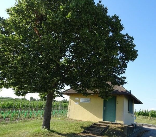 Brunnen bei Wolkersdorf