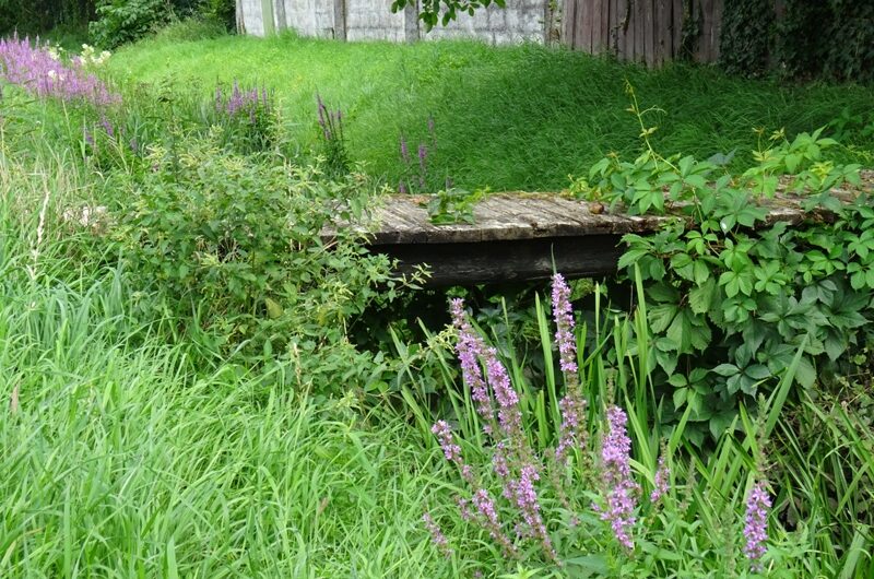 Holzsteg in Ulrichskirchen