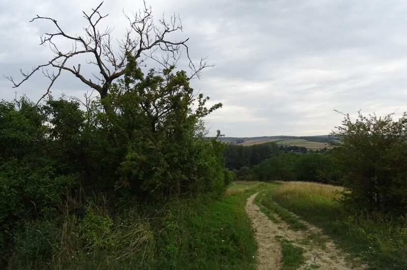 Auf dem Wartberg