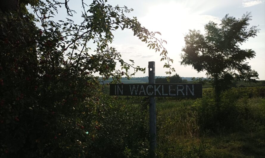 In Wacklern