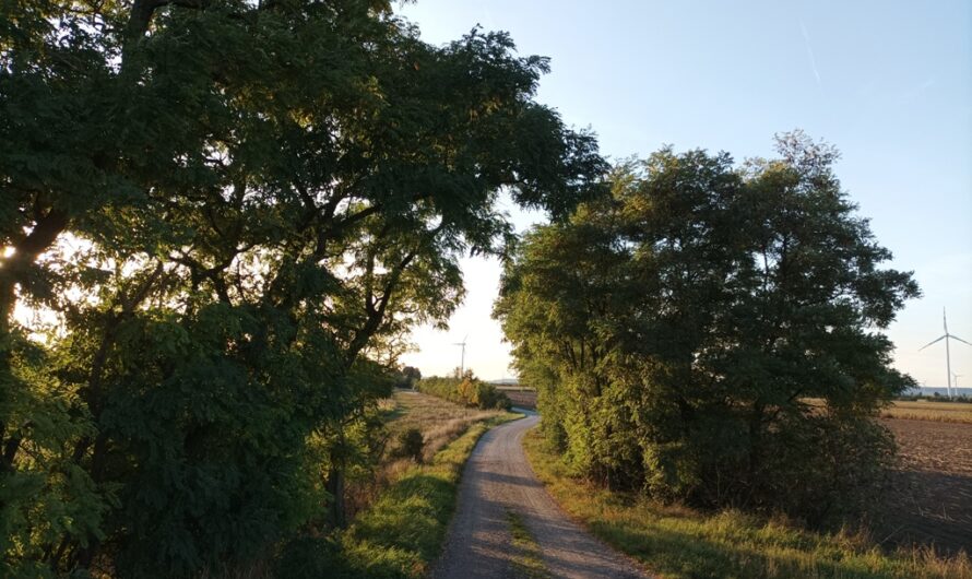 Am Rußbach bei Helmahof