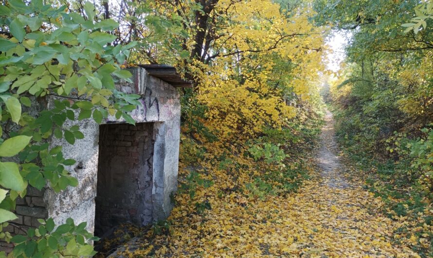 Alte Kellergasse am Boindlfeld