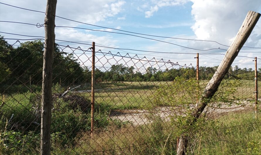 Rund um den Gänserndorfer Erlebnispark