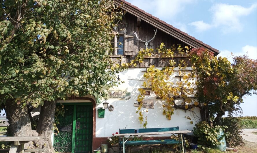 Weinviertler Haus bei Obersdorf