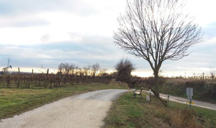 Marterlweg am Hochleithenwald