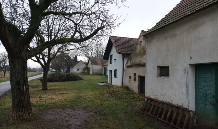 In der Sierndorfer Kellergasse