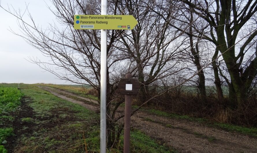 Wein-Panorama Wanderweg