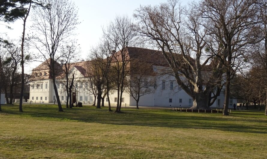 Stadtrundweg Marchegg