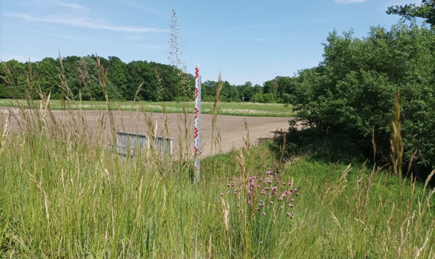 Hochwasserdamm bei Grub