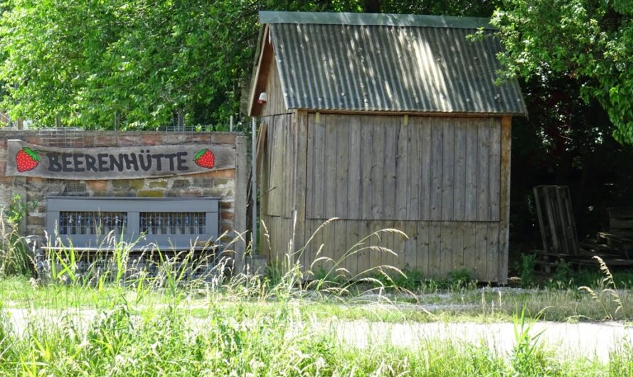 Beerenhütte in Obersdorf