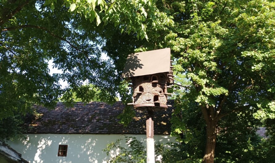 Taubenhaus im Hof