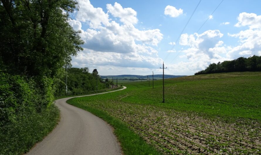 Wandern bei Neubau-Kreuzstetten