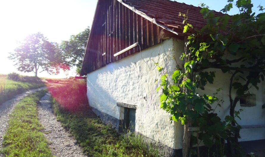 Hütte bei Hautzendorf