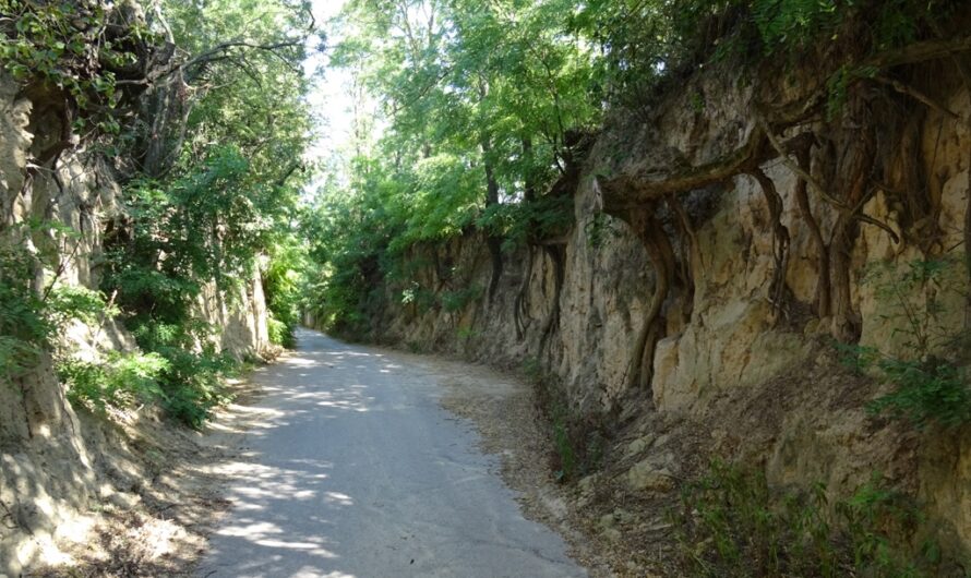 Lösshohlweg in Hautzendorf