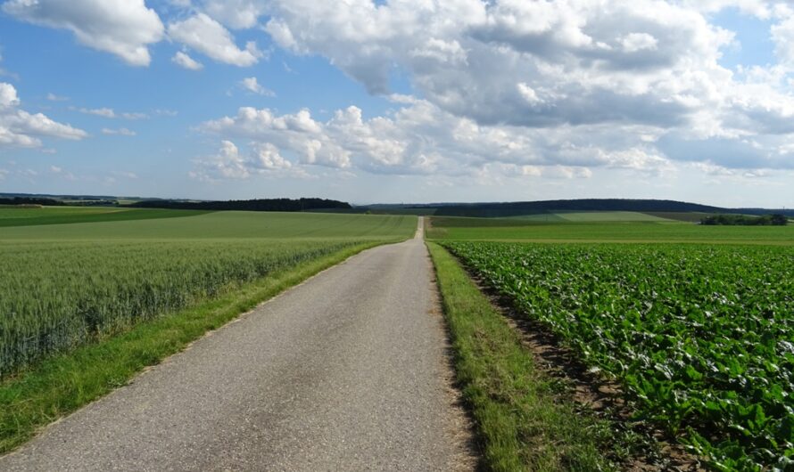 Radweg bei Streifing