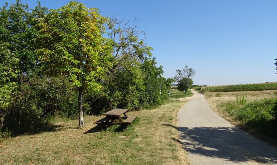 Spazierweg in Hautzendorf