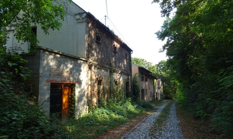 Kellergasse Bockfließ