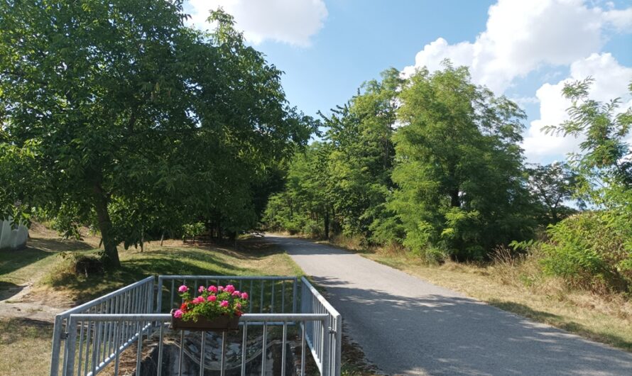 Blumen am Ablaufgeländer