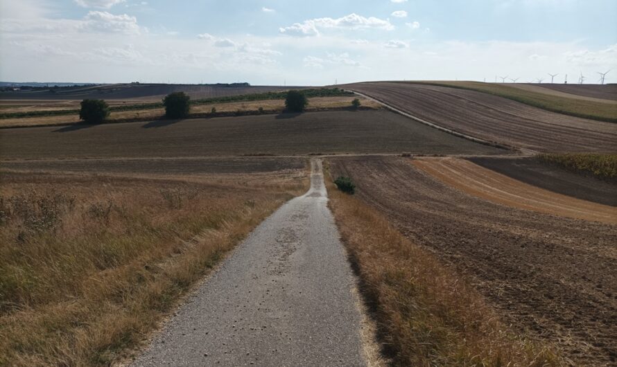 Felder am Dreikönigsweg