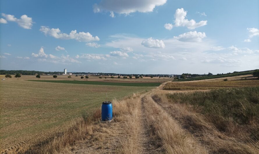 Wanderweg nach Dürnkrut