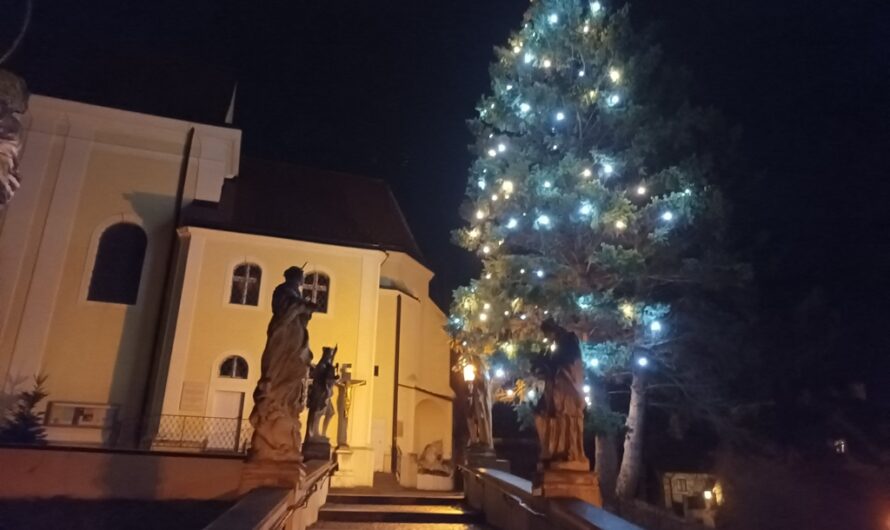 Christbaum an der Wolkersdorfer Kirchenstiege