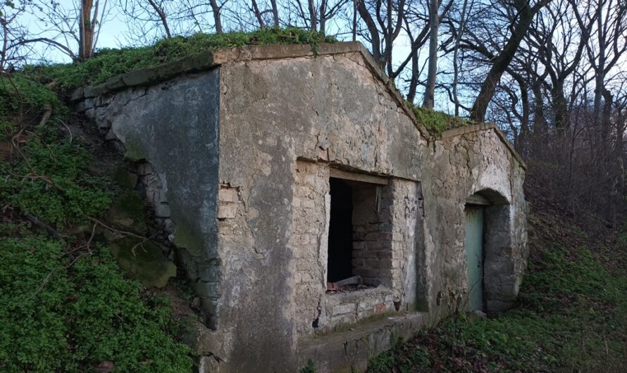 Weinkeller am Boindlfeld