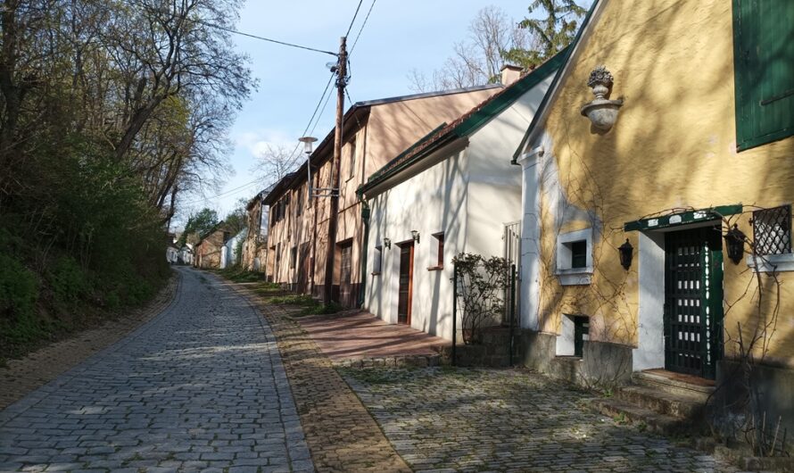 Bockfließer Kellergasse im Mai