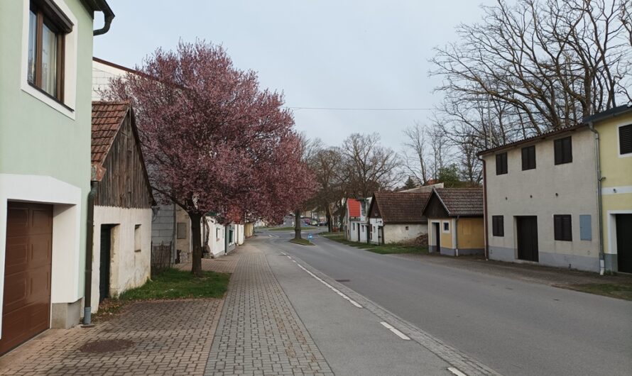 Kellergasse am Wunderberg