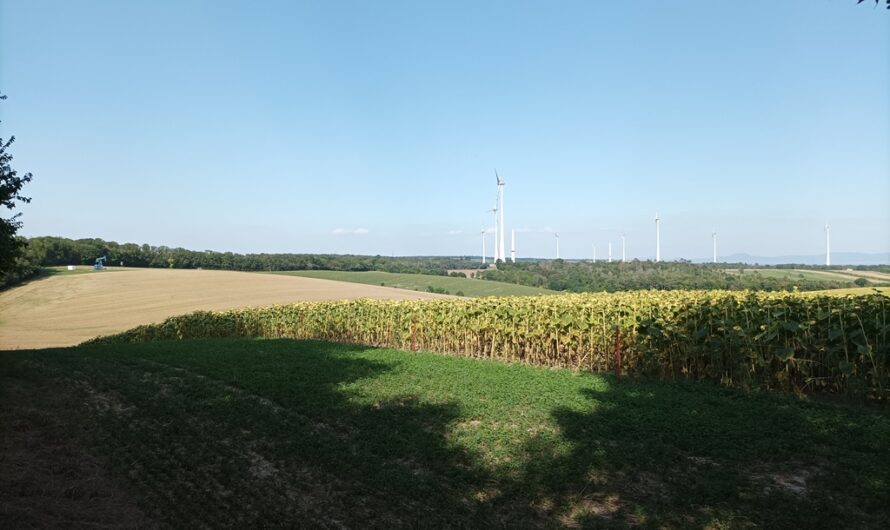 Ausblick am Schneiderkreuz