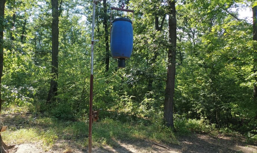 Wildfutter im Matzner Wald