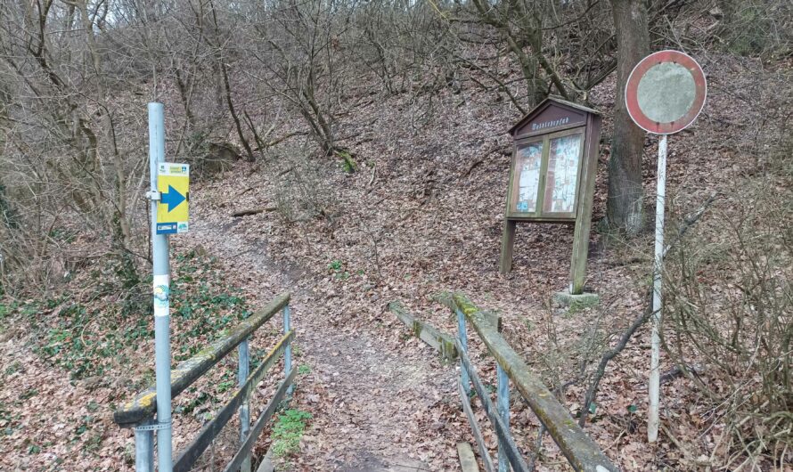 Wolkersdorf zu Weihnachten