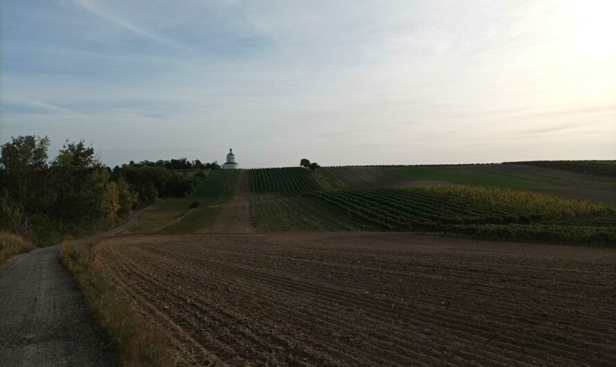 Rochusberg Kapelle