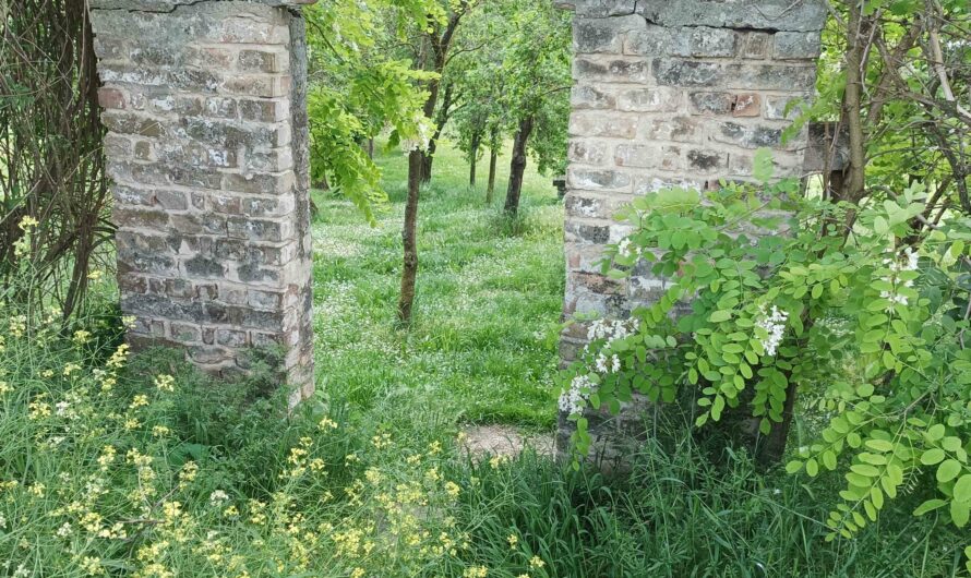 Tor beim Schurl Wirt