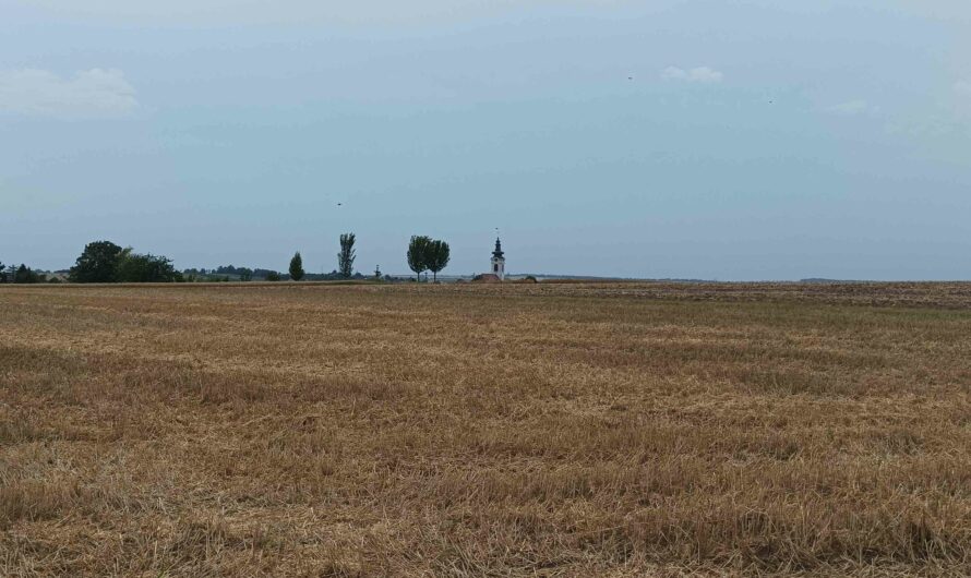 Hinterm Feld der Kirchturm