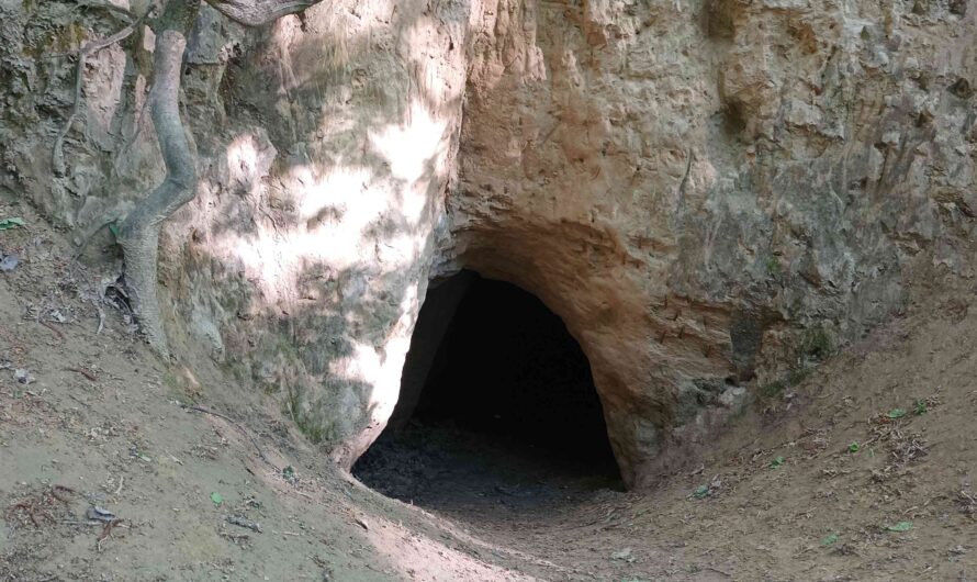 Die Schwedenhöhlen im Rohrwald